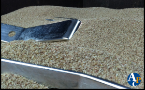 Corn Cob Drying